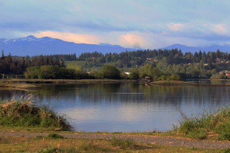 The Campbell River estuary with mountains in the distance