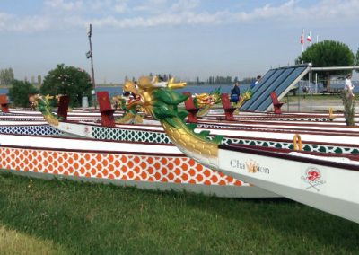 Dragon boats with carved dragon heads lined up on shore at a festival